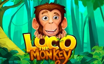 Loco the Monkey