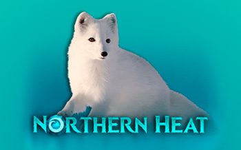 Northern Heat